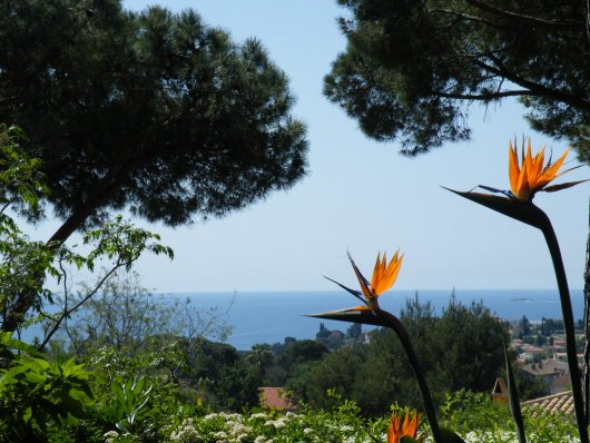 Mas Carqueiranne, 190 m&sup2;, 1 190 000