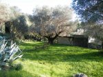 lotissement r�sidentiel